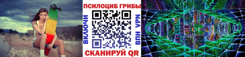 Галлюциногенные грибы Psilocybine cubensis  Купить где  Горячий Ключ 